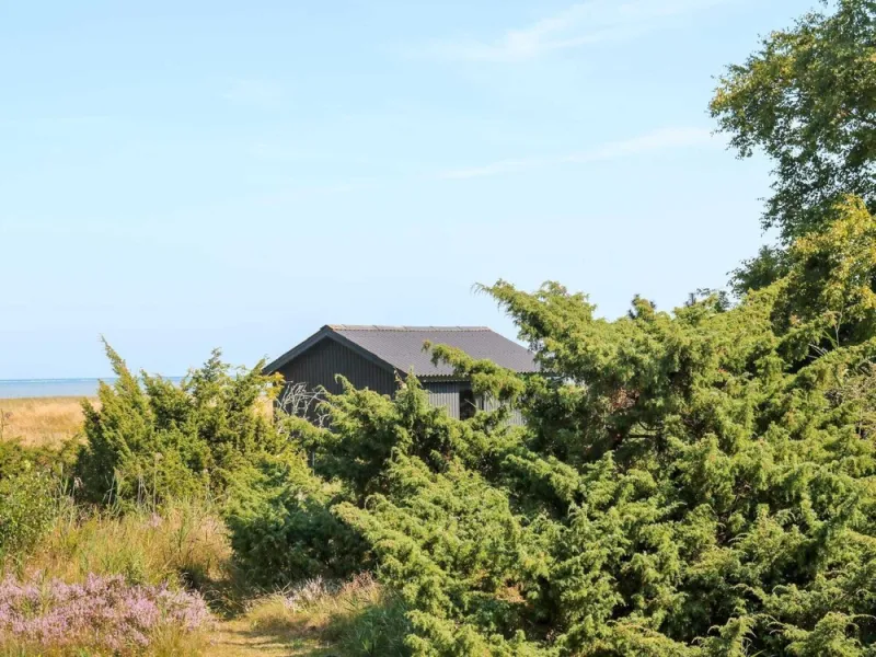 Billede 2 af 8 Person Holiday Home in Hadsund-by Traum