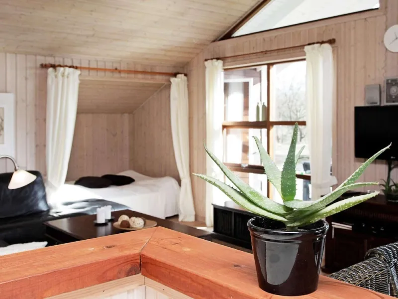 Billede 17 af 8 Person Holiday Home in Hemmet