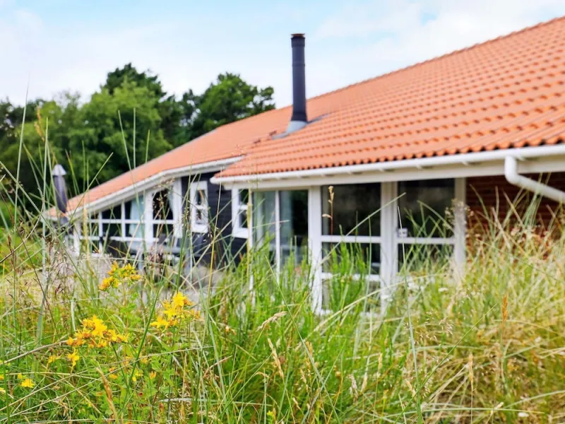Billede 19 af 12 Person Holiday Home in Blavand