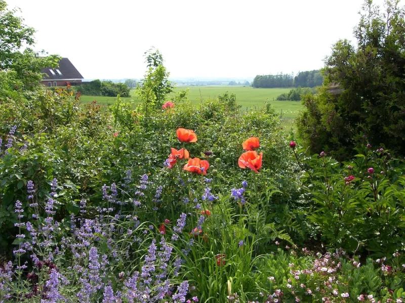 Billede 9 af Klintholm Bed & Breakfast