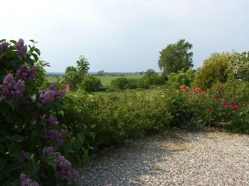 Billede 35 af Klintholm Bed & Breakfast