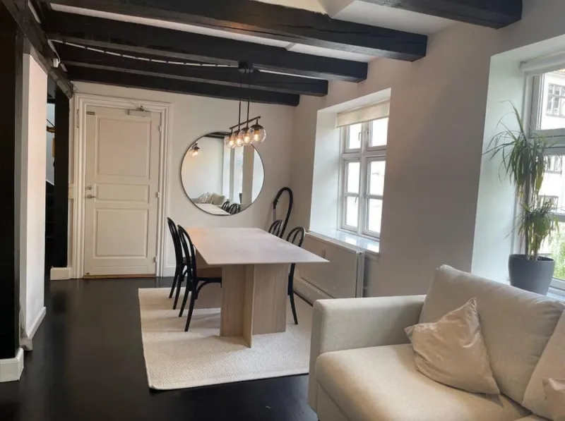 Luxury Apartment in the Heart of Copenhagan