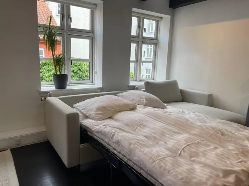 Billede 37 af Luxury Apartment in the Heart of Copenhagan