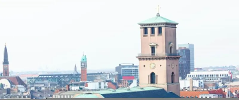 Billede 47 af Luxury Apartment in the Heart of Copenhagan