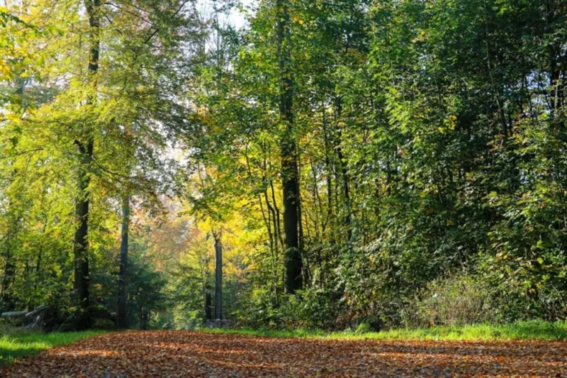 Billede 2 af Assendrupgaard Vejle