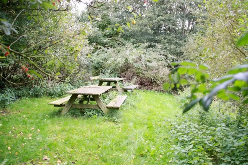 Billede 4 af Lundseje Hovedhus