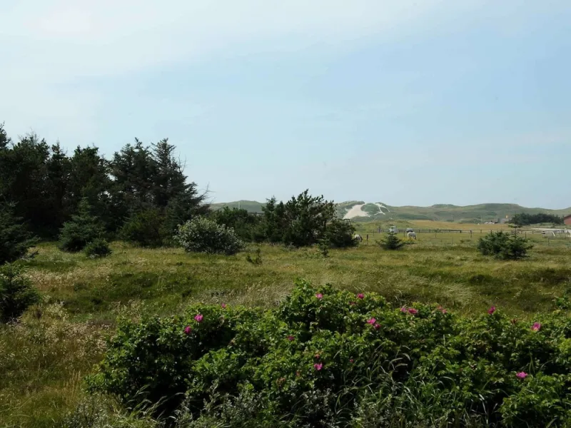 Billede 8 af 6 Person Holiday Home in Hvide Sande