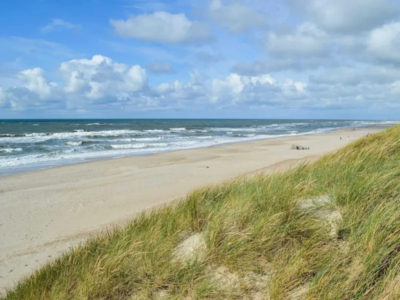 Billede 24 af 5 Person Holiday Home in Ringkobing