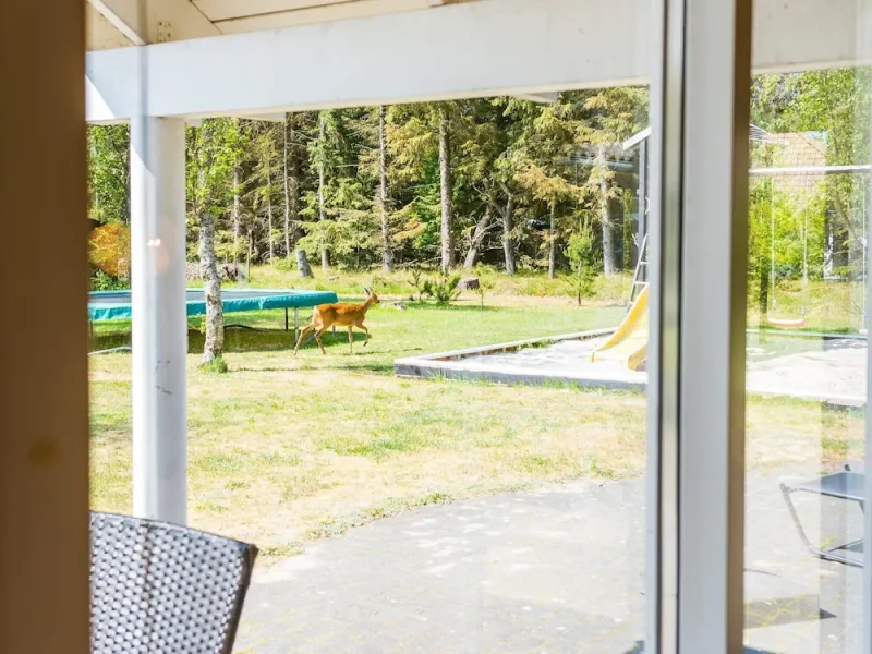 Billede 32 af 8 Person Holiday Home in Blavand