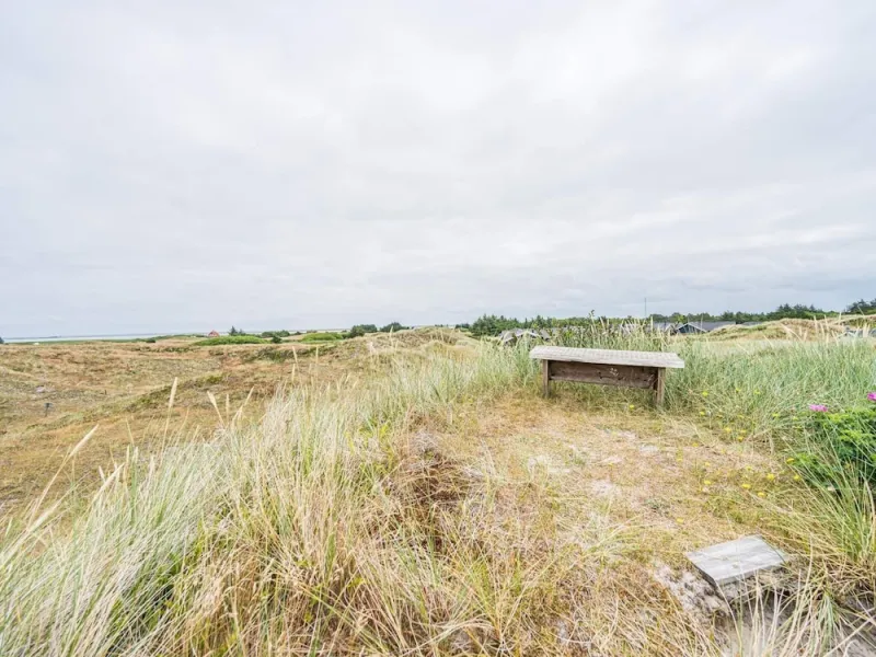 Billede 28 af 8 Person Holiday Home in Hvide Sande