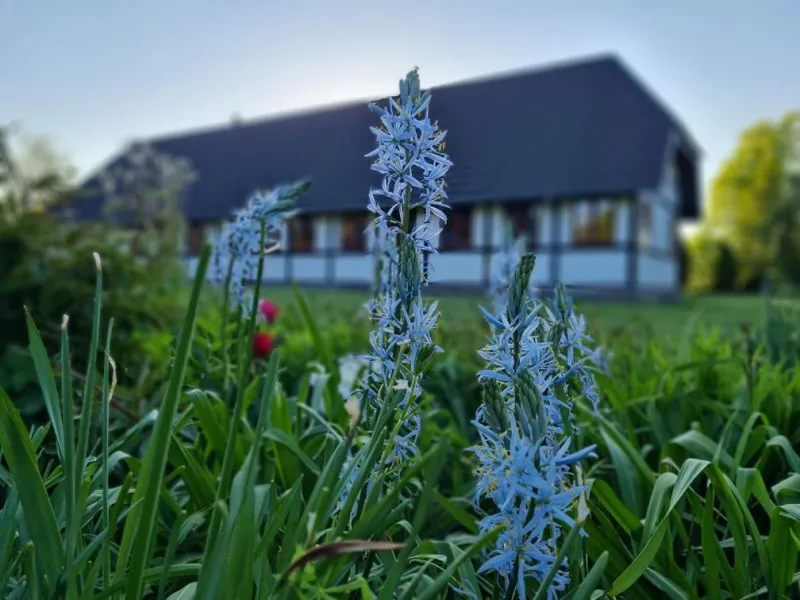 Billede 6 af B&B Bauernhofferien auf Møn