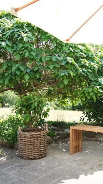 Billede 30 af Modern Nordic Villa near Faaborg and Svanninge Hills with Free Parking