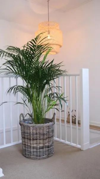 Billede 38 af Modern Nordic Villa near Faaborg and Svanninge Hills with Free Parking