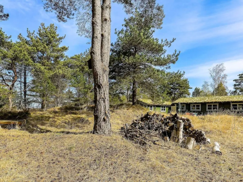 Billede 6 af 4 Person Holiday Home in Laeso