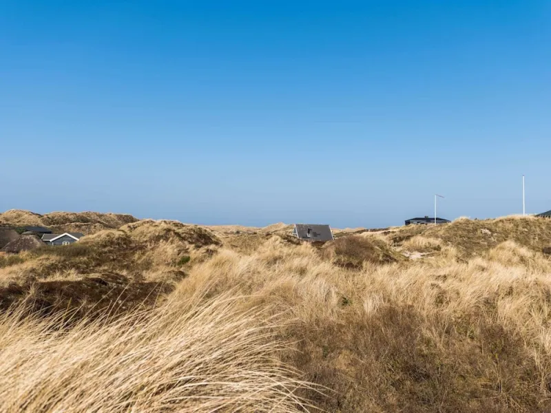 Billede 25 af 6 Person Holiday Home in Henne