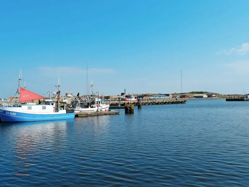 Billede 5 af Seaside Gem in Sondervig-by Traum