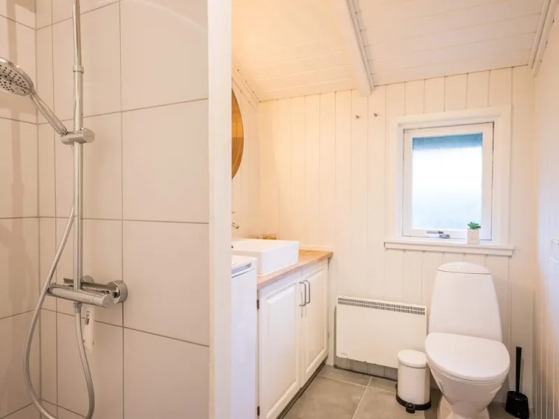 Billede 17 af 6 Person Holiday Home in Henne