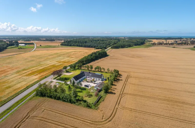 Billede 2 af Kunstart20
