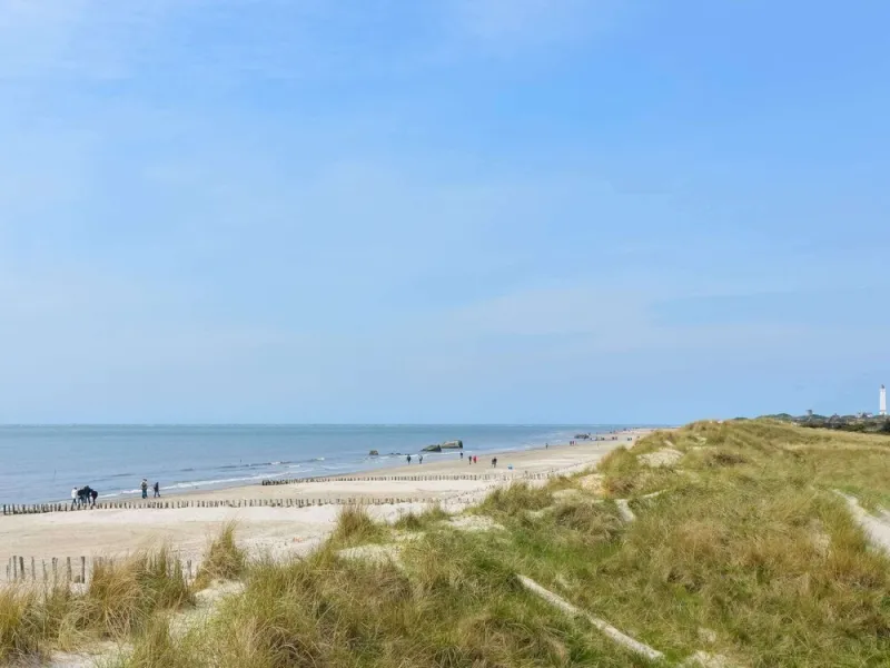 Billede 45 af 12 Person Holiday Home in Blavand