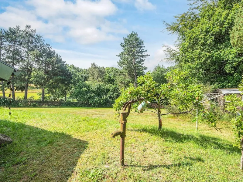 Billede 13 af 6 Person Holiday Home in Skovgårde Allingåbro