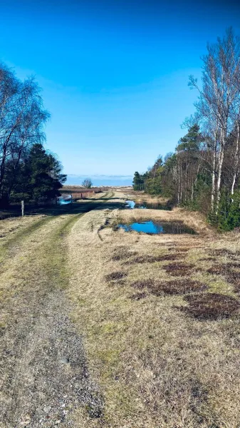 Billede 7 af Cottage With 400 M To The Water And The Marina