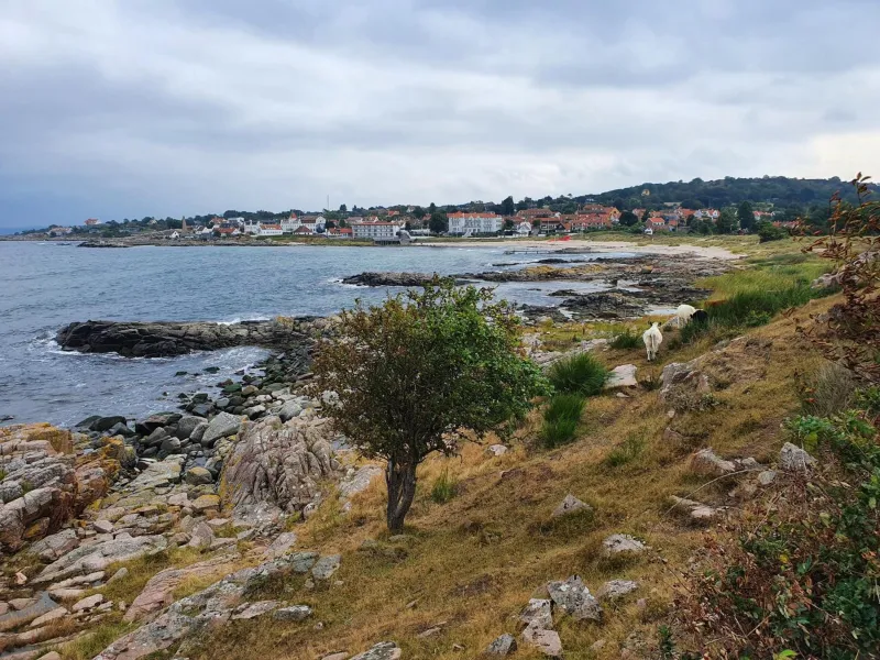 Billede 3 af Pension Sandbogaard