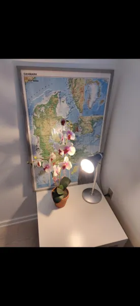 Billede 2 af Capital city of Lego, Prime location! Room 01