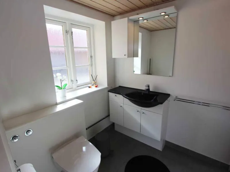 Billede 41 af 14 Person Holiday Home in Nexo