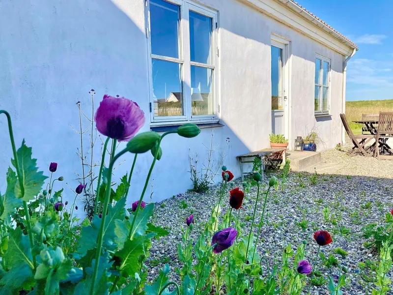 Billede 9 af Lovely Summer House 450 Meters From The Sea