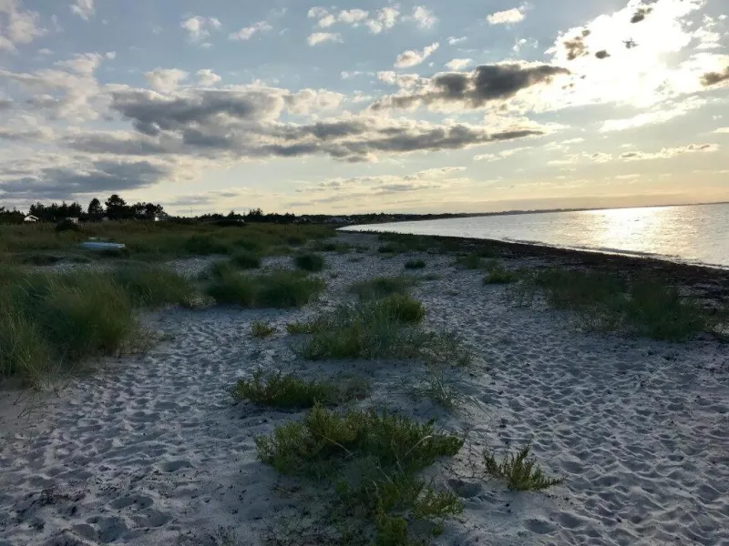 Billede 6 af Lovely, Large Holiday Home On A Nice Plot In The Attractive Fjellerup Strand Area Just 500 Meters From The Water, Space For 10 People,