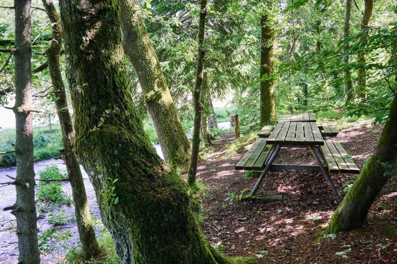 Billede 3 af Randbøldal Camping & Cabins