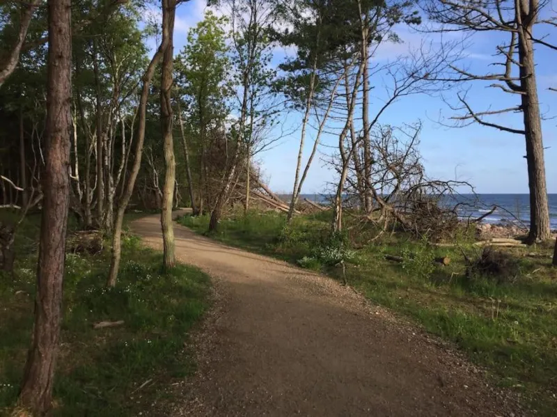 Billede 4 af En perle af et sommerhus tæt på både strand og by
