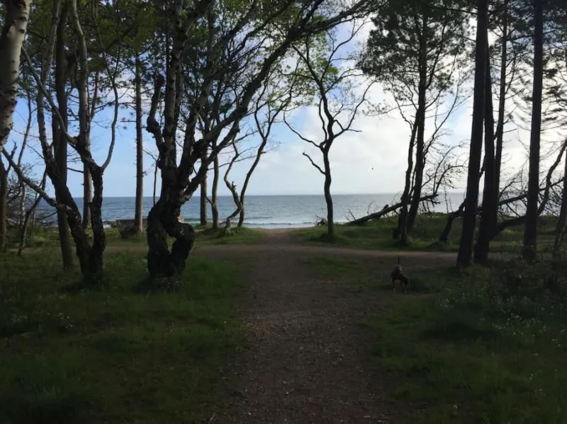 Billede 16 af En perle af et sommerhus tæt på både strand og by