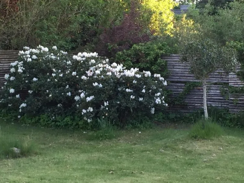 Billede 33 af En perle af et sommerhus tæt på både strand og by