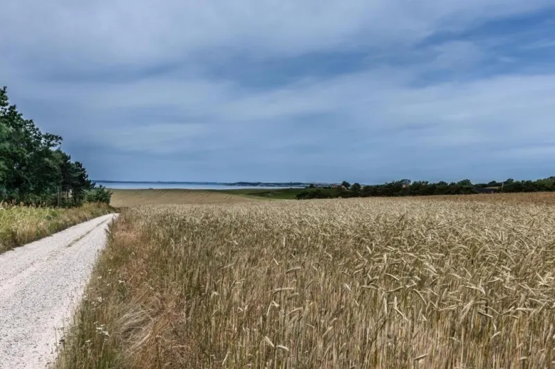 Billede 8 af Amazing Home In Knebel With 3 Bedrooms, Sauna And Wifi