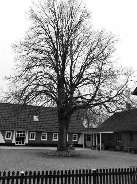 Billede 29 af Bolding Apartments