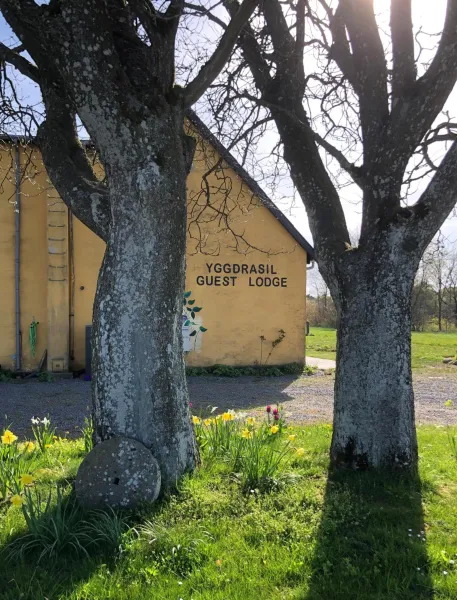 Billede 19 af Yggdrasil Guest Lodge