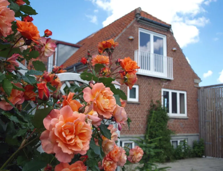 Hotel Lolland photo 17