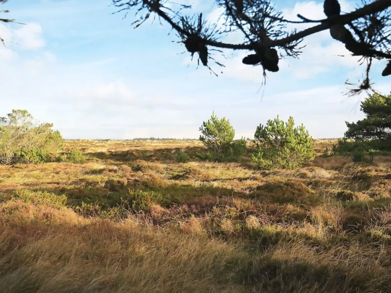 Billede 9 af 6 Person Holiday Home in Oksbol