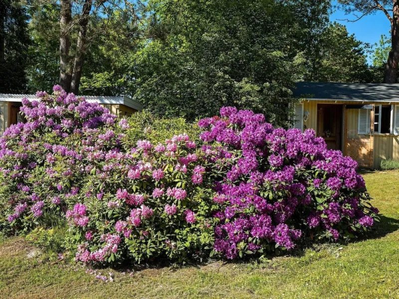 Billede 14 af 8 Person Holiday Home in Rorvig