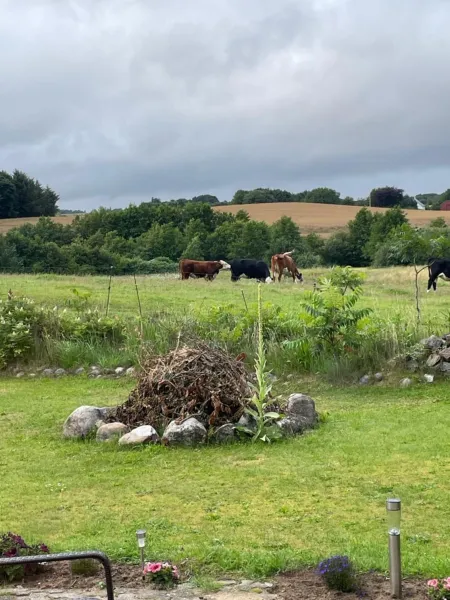 Billede 9 af Naturen tæt på. Mærk stilheden!