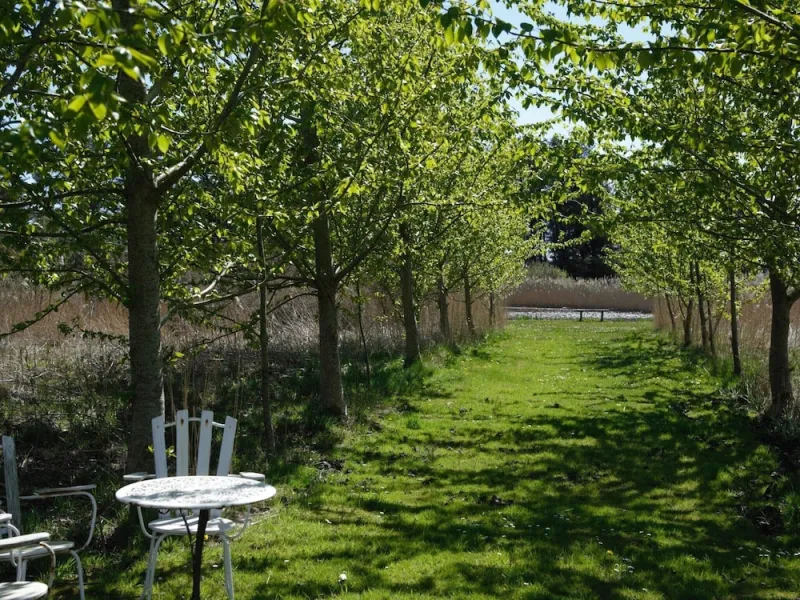 Billede 8 af 4 Person Holiday Home in Lokken