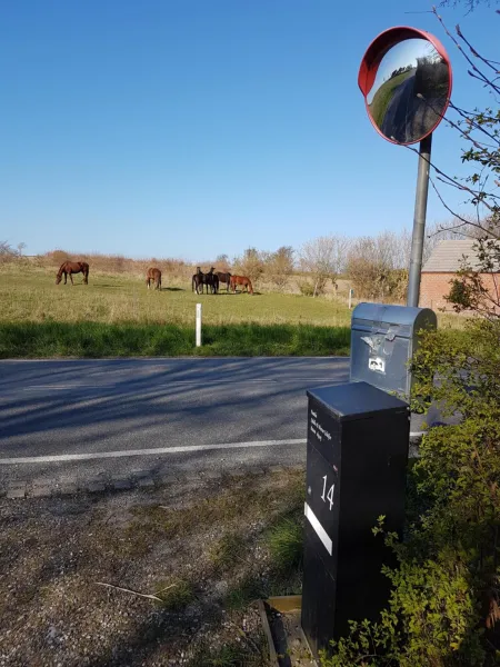 Billede 32 af Oestermark