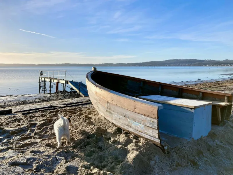 Billede 27 af Beach House With A View Of Mosvig Bay