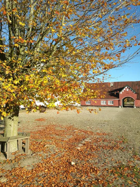 Billede 9 af Holtegaard Bed & Breakfast