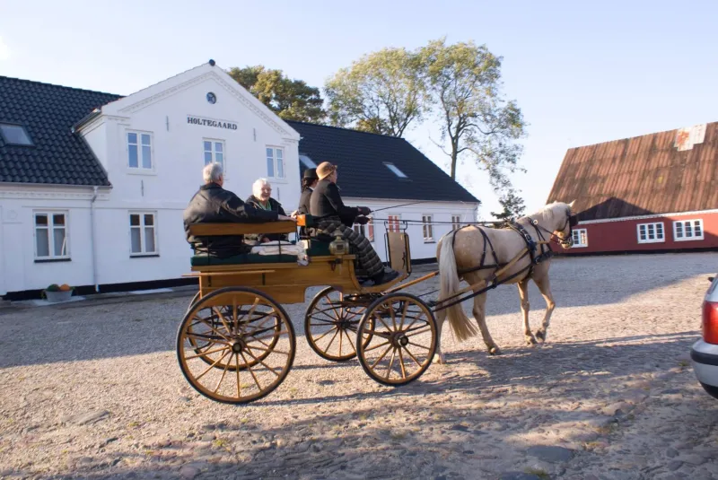 Billede 27 af Holtegaard Bed & Breakfast