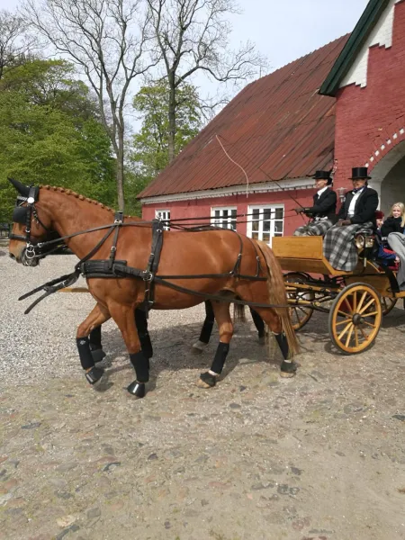 Billede 42 af Holtegaard Bed & Breakfast