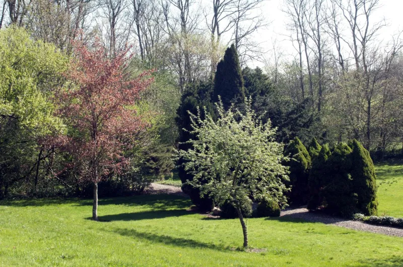 Purhus Kro photo 9