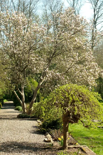Purhus Kro photo 11