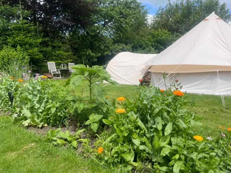Cozy Garden Glamping photo 3